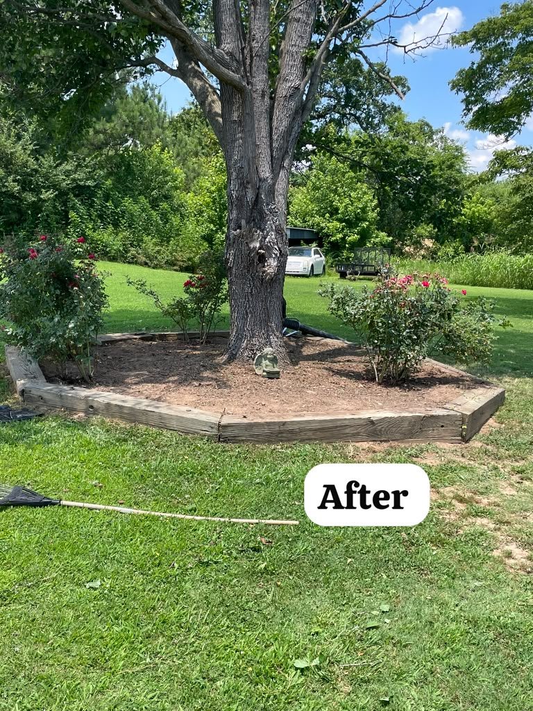 Weed trimming project photograph 5
